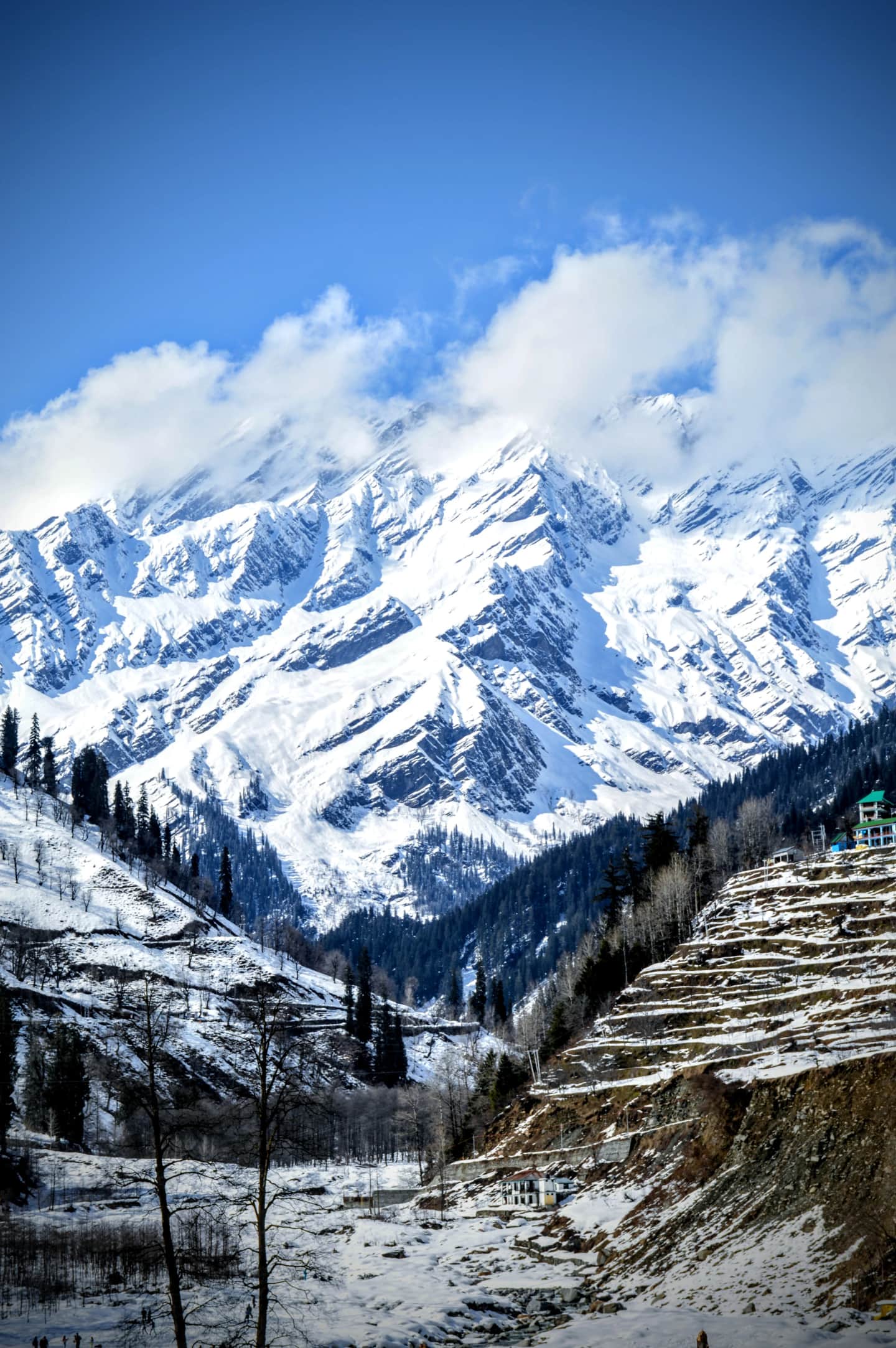 SHIMLA-MANALI ESCAPE (STANDARD CATEGORY PACKAGE) 
