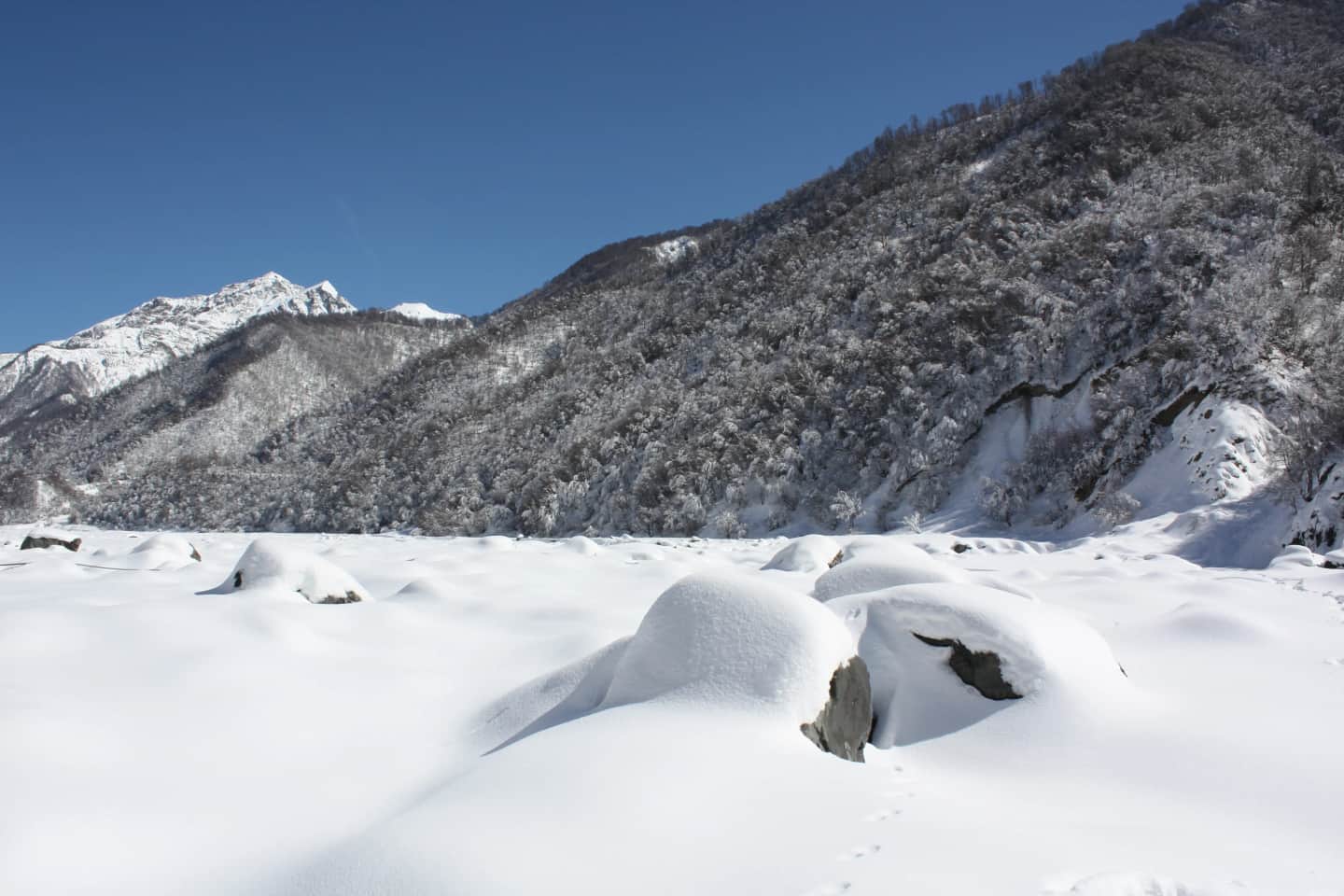 NORTH SIKKIM ESCAPE (STANDARD CATEGORY PACKAGE)